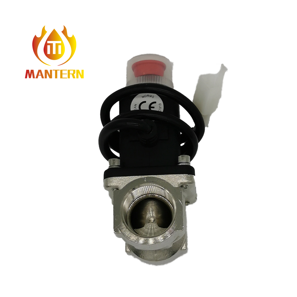Gas Detector MTGA12V and Gas Valve MTV01
