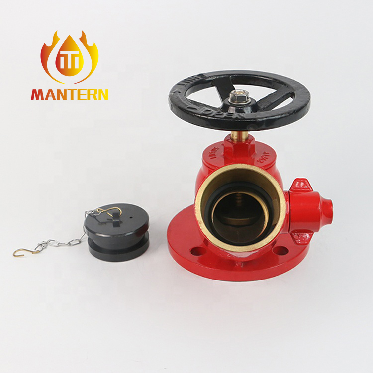 Landing Valve Flange Type