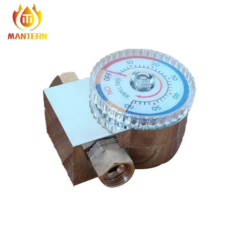 Gas Timer Valve