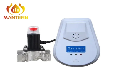 GAS DETECTOR
