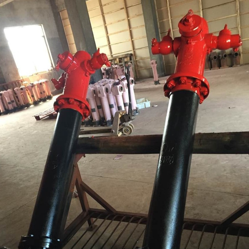 3 Way Dry Barrel Pillar Ductile Iron Fire Hydrant