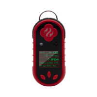 Single Portable Gas Detector for Natural Gas, LPG