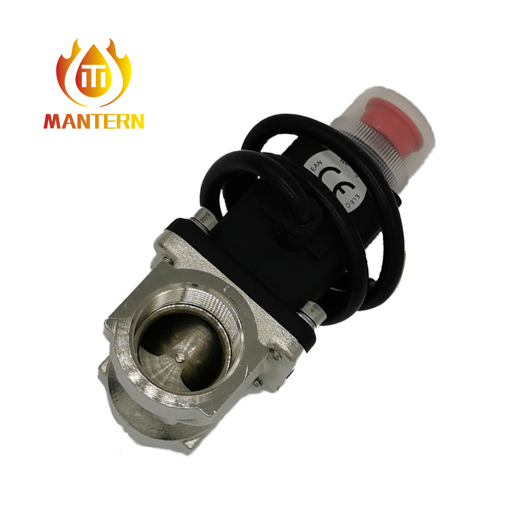 Gas Detector MTGA12V and Gas Valve MTV01