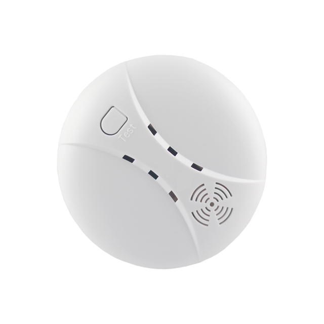Home Security 30ppm Carbon Monoxide Co Alarm Battery Operated