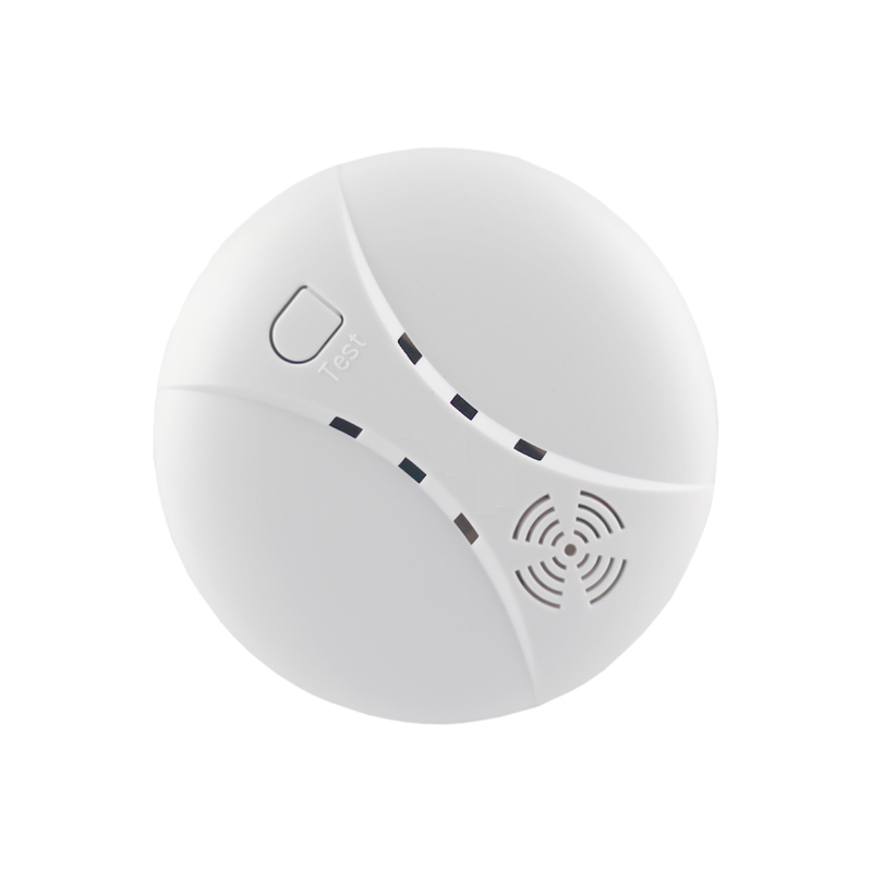 Home Security 30ppm Carbon Monoxide Co Alarm Battery Operated