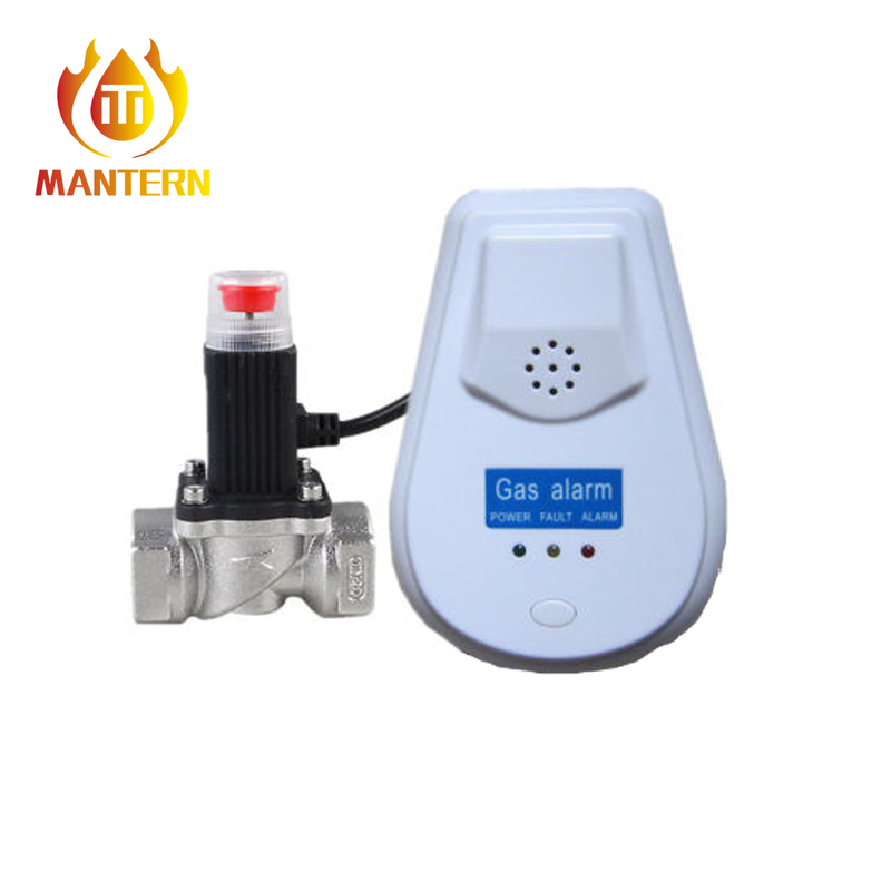 Gas Detector MTGA12V and Gas Valve MTV01