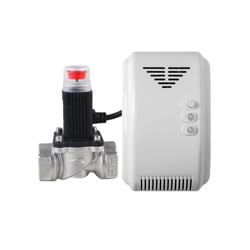 Domestic Gas Detector MTGA03V and Gas Valve MTV01