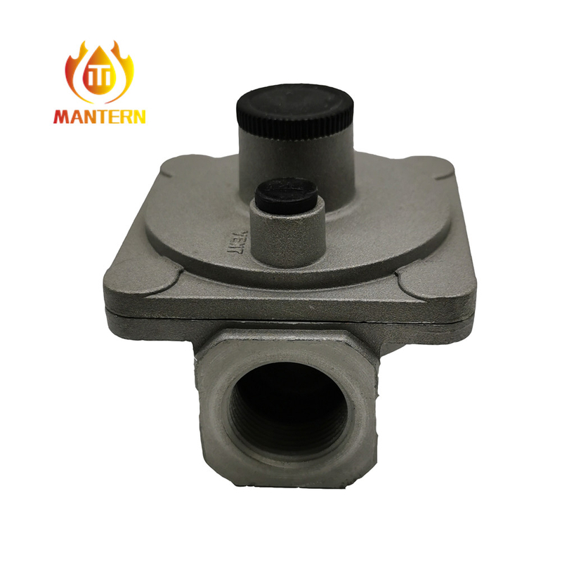 Small Natural Gas Pressure Regulator with Filter