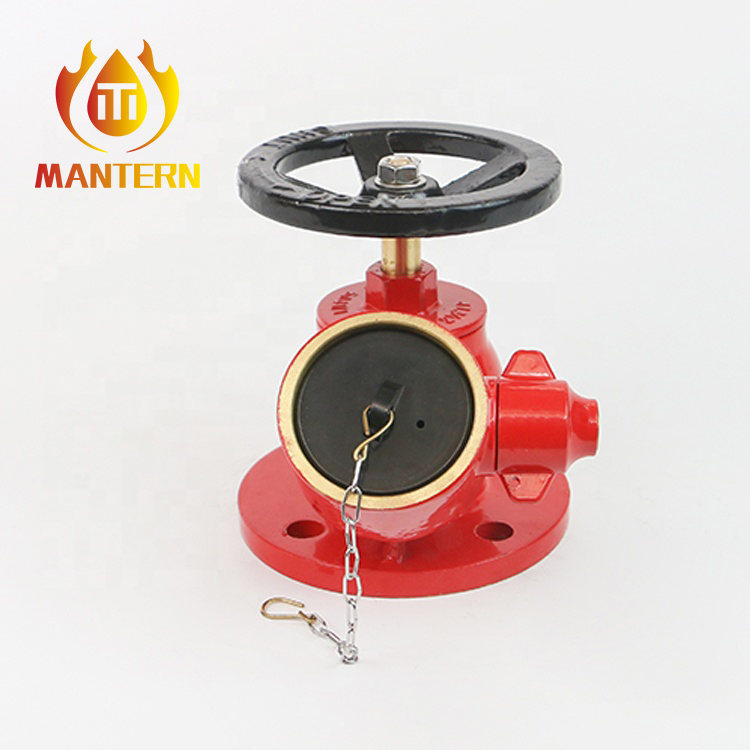 Landing Valve Flange Type
