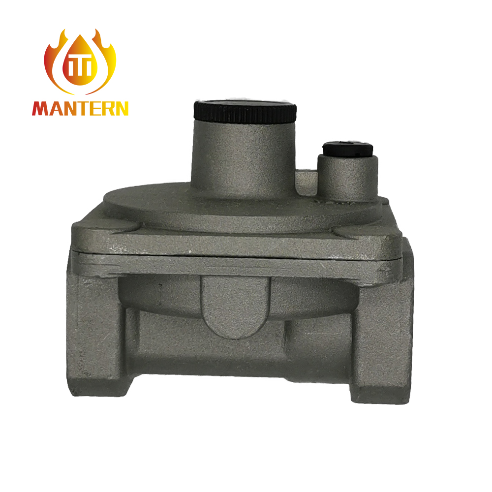 Small Natural Gas Pressure Regulator with Filter