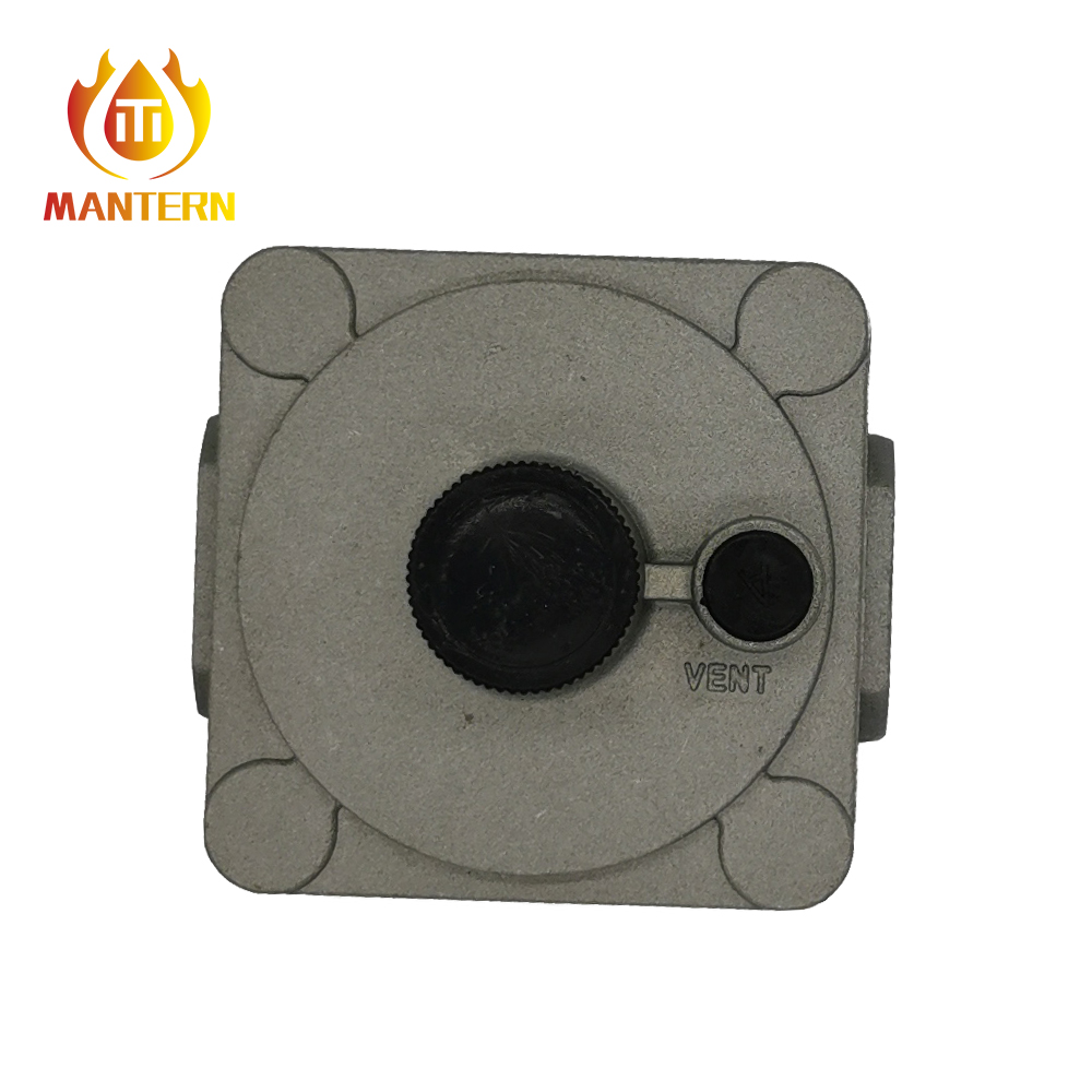 Small Natural Gas Pressure Regulator with Filter