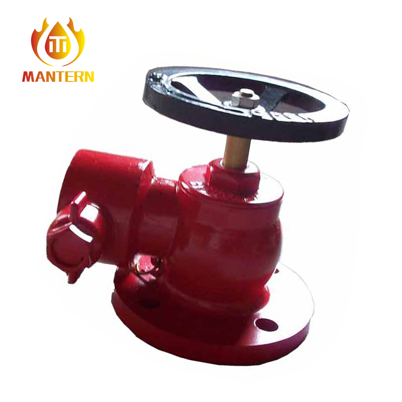 Fire protection system landing valve installed in a commercial stairwell