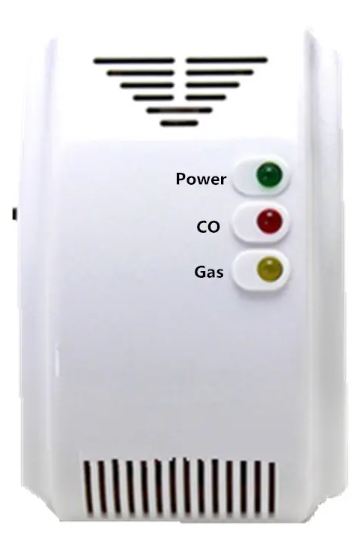 MTCG02 Dual Gas Detector
